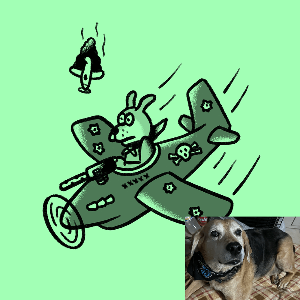 Custom Animal Doodle
