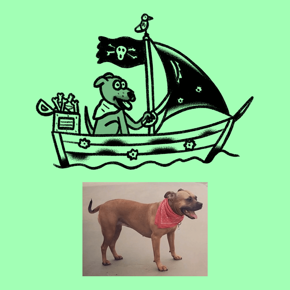 Custom Animal Doodle