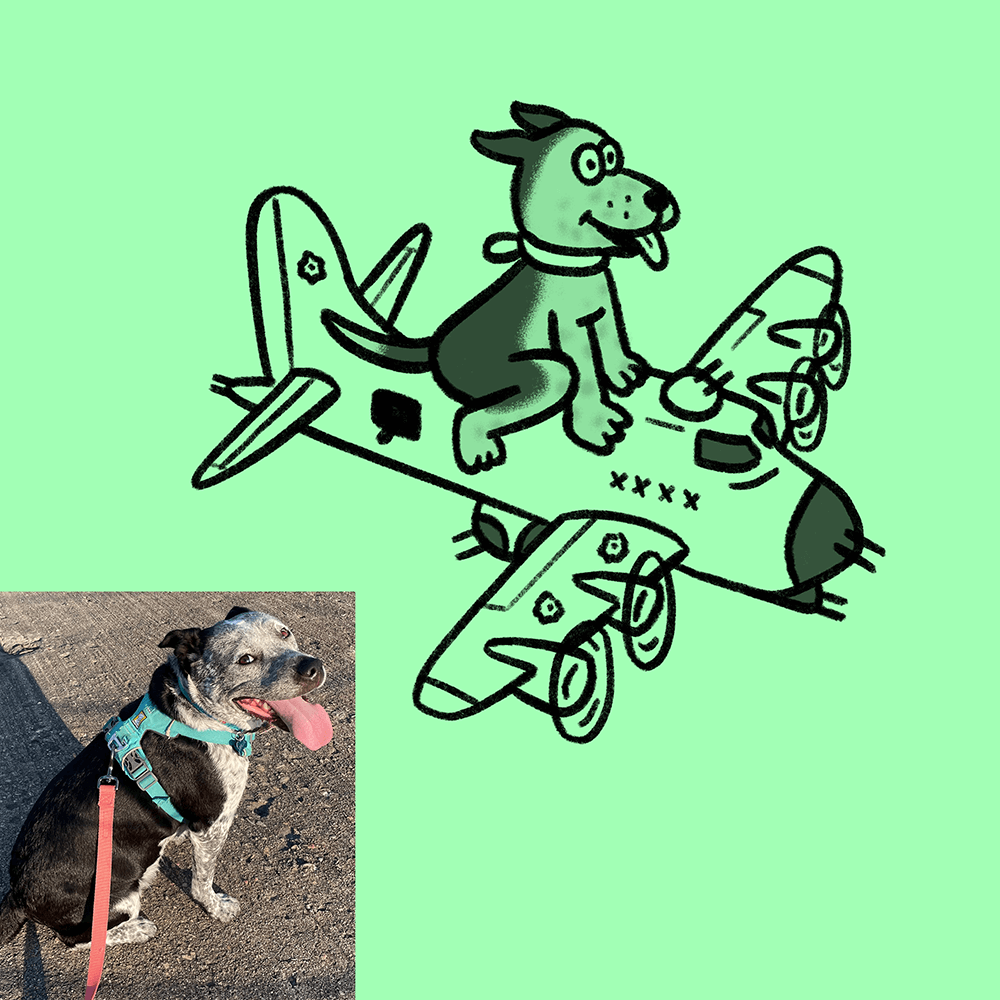 Custom Animal Doodle