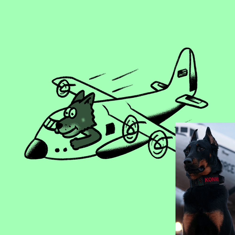 Custom Animal Doodle