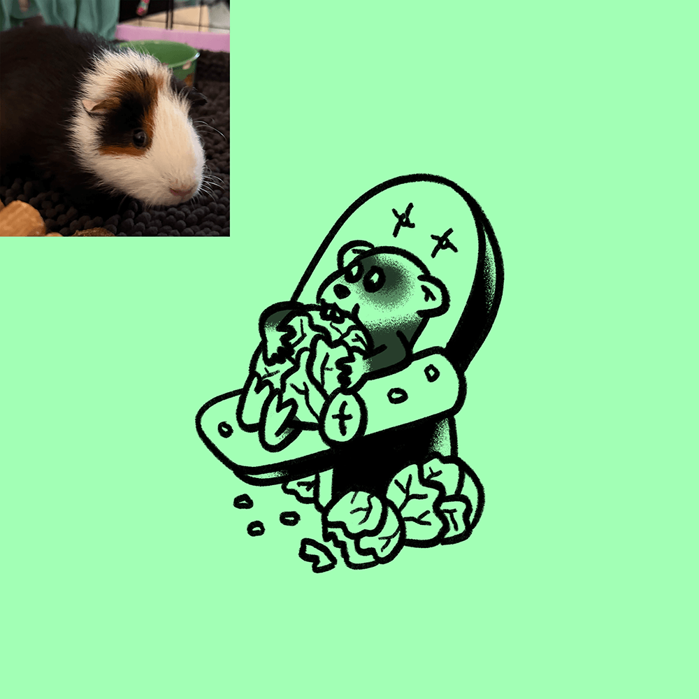 Custom Animal Doodle
