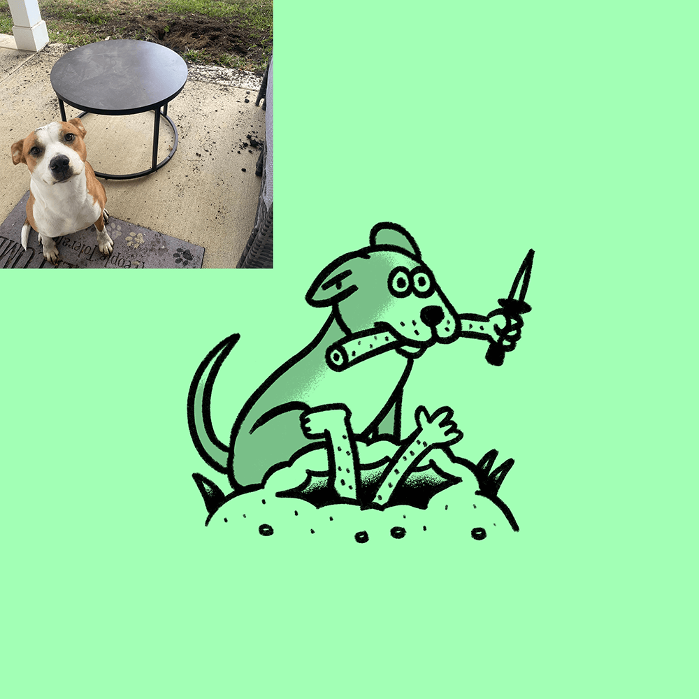Custom Animal Doodle