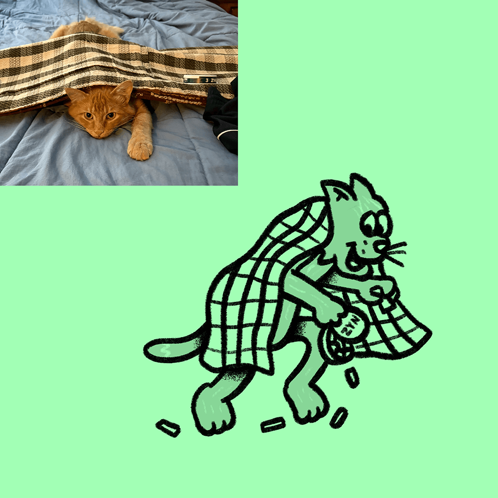 Custom Animal Doodle