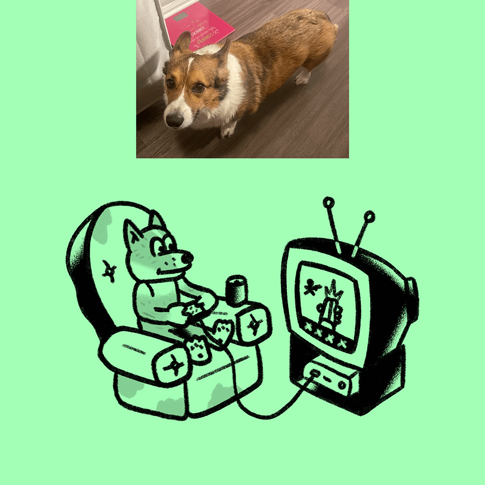 Custom Animal Doodle