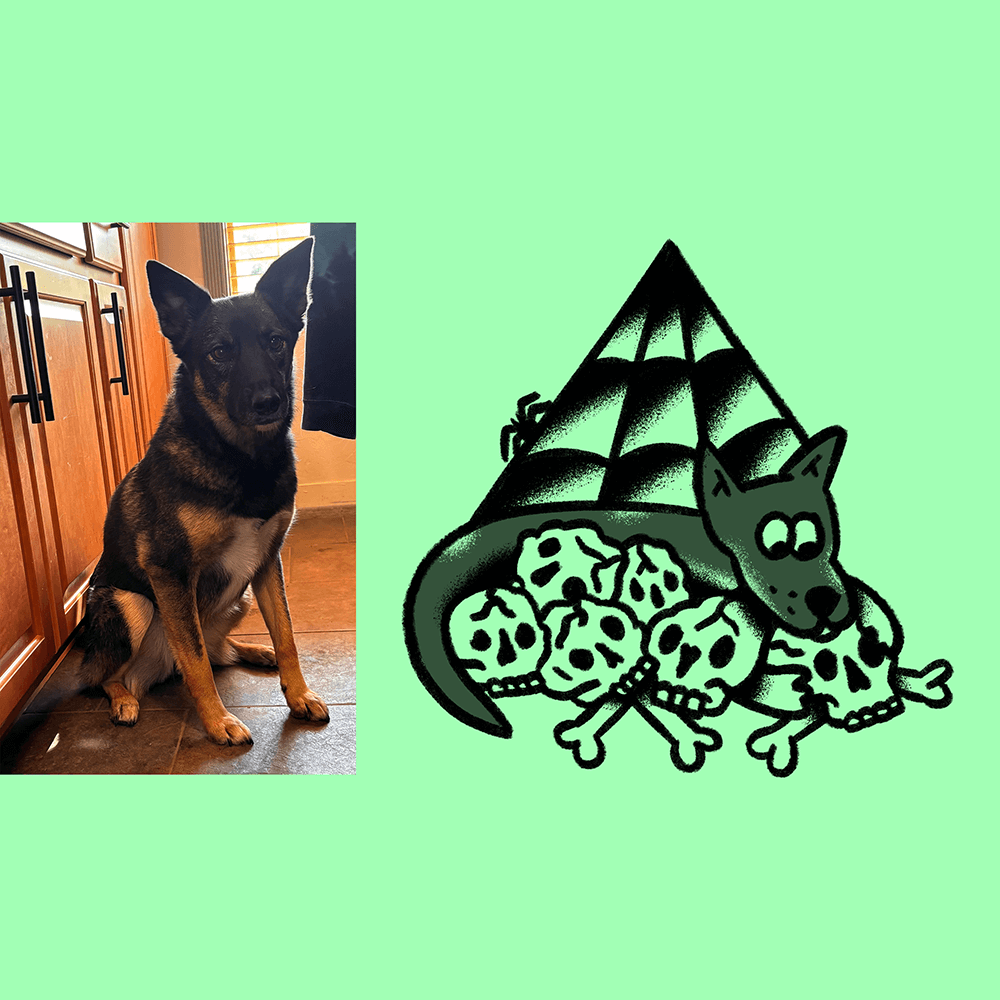 Custom Animal Doodle