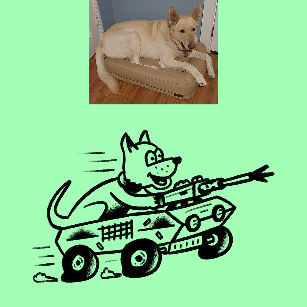 Custom Animal Doodle