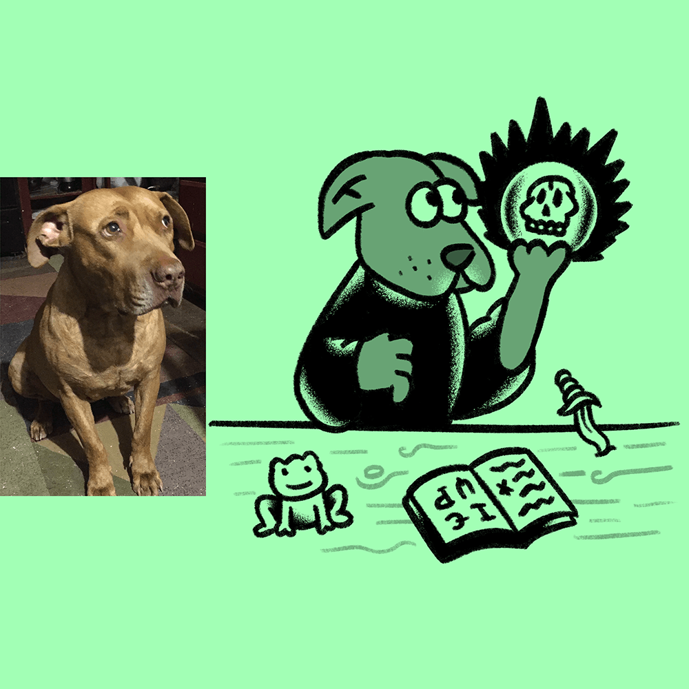 Custom Animal Doodle